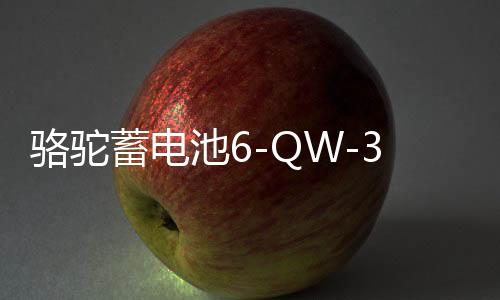 駱駝蓄電池6-QW-36適用于本田飛度哥瑞理念鋒范鈴木奧拓汽車電瓶B