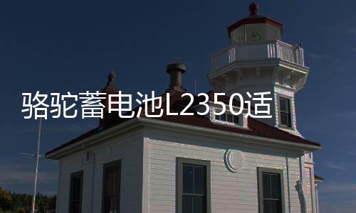 駱駝蓄電池L2350適用于東風(fēng)景逸長(zhǎng)安悅翔睿騁逸動(dòng)睿成汽車電瓶