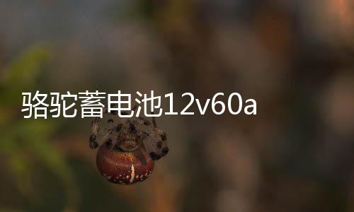 駱駝蓄電池12v60ah汽車電瓶L2400用于科魯茲速騰寶來朗逸邁騰途觀