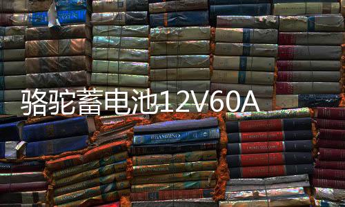 駱駝蓄電池12V60A適配長安悅翔CS35志翔逸動歐諾1DF汽車電瓶L2350