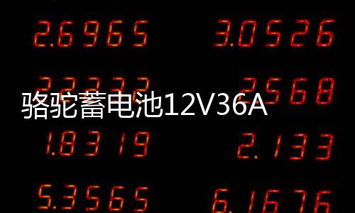 駱駝蓄電池12V36AH汽車(chē)電瓶適配鈴木奧拓鋒范背機(jī)旋耕機(jī)三輪車(chē)1DF