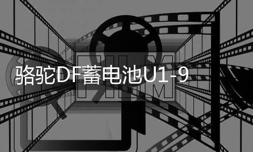 駱駝DF蓄電池U1-9割草機(jī)旋耕微耕機(jī)路面切割機(jī)發(fā)電機(jī)12V24AH電瓶
