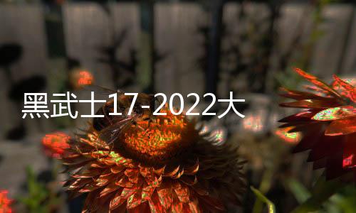 黑武士17-2022大眾途觀L丹當(dāng)拿音響進(jìn)口音響汽車音響原裝喇叭高配