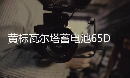 黃標(biāo)瓦爾塔蓄電池65D23L汽車電瓶 適配卡羅拉朗動花冠奇駿