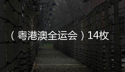 （粵港澳全運會）14枚金牌花落各家 全運會展中國跳水新風采