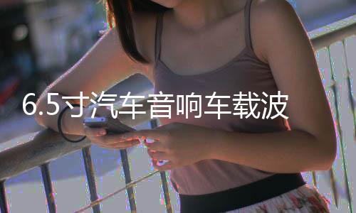 6.5寸汽車音響車載波士頓中重低音喇叭處理價99元一對主機直推