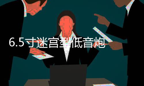 6.5寸迷宮型低音炮 木質(zhì) 空箱體 功放汽車音響喇叭音箱外殼孔可改