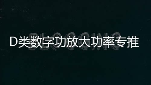 D類數(shù)字功放大功率專推單音圈雙音圈10寸12寸喇叭無源低音炮功放