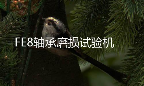 FE8軸承磨損試驗(yàn)機(jī)