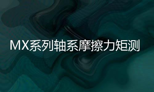 MX系列軸系摩擦力矩測量儀