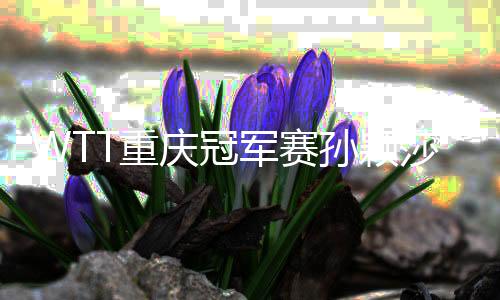 WTT重慶冠軍賽孫穎莎、樊振東奪冠，國(guó)乒將封閉備戰(zhàn)奧運(yùn)