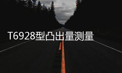 T6928型凸出量測量儀