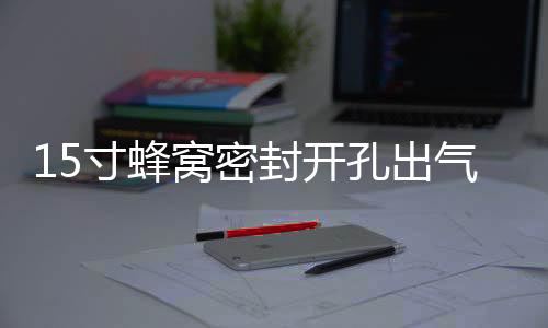15寸蜂窩密封開孔出氣箱15空箱體低音炮箱家用汽車用空箱木質(zhì)包郵