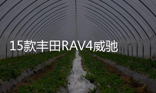 15款豐田RAV4威馳花冠卡羅拉雷凌逸致雅力士原裝電瓶瓦爾塔蓄電池