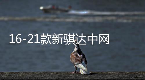 16-21款新騏達中網外觀改裝配件2021前臉專用裝飾水箱防蟲網用品