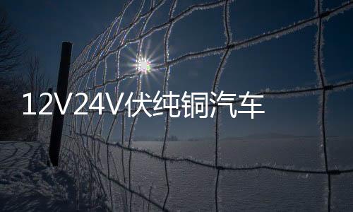 12V24V伏純銅汽車電瓶充電器通用智能大功率農(nóng)用車收割電瓶充電機