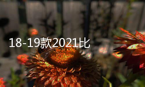 18-19款2021比亞迪唐二代燃油版改裝件專用裝飾外觀中網(wǎng)亮條配件
