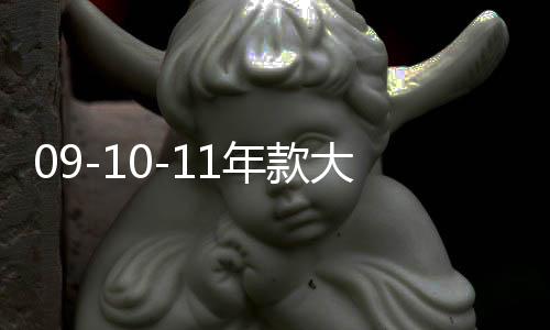 09-10-11年款大眾帕薩特領(lǐng)馭中網(wǎng)改裝配件前臉保險杠專用裝飾亮條