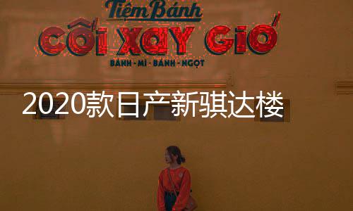 2020款日產(chǎn)新騏達(dá)樓蘭納瓦拉途達(dá)改裝內(nèi)飾品車貼配件汽車門防踢墊