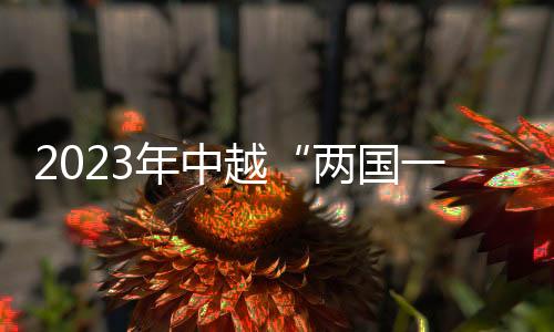 2023年中越“兩國一賽道”國際自行車賽舉行