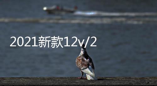 2021新款12v/24v車載帶藍(lán)牙無線音響汽車貨車重低音炮小型音箱