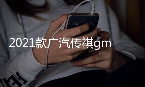 2021款廣汽傳祺gm6改裝件M6PRO專用m6裝飾中網(wǎng)外觀前臉亮條配件